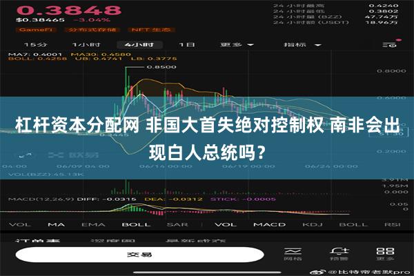 杠杆资本分配网 非国大首失绝对控制权 南非会出现白人总统吗？