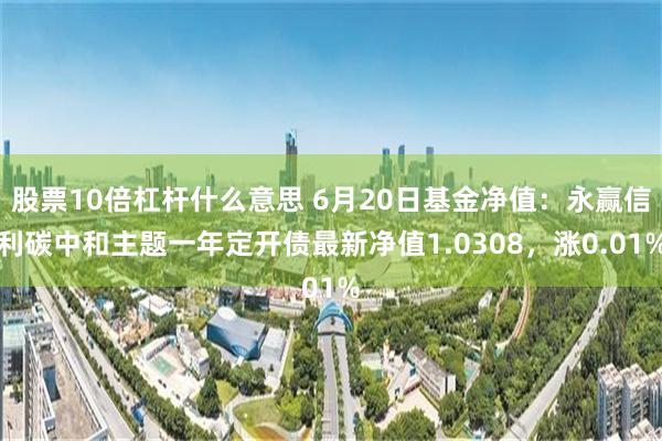 股票10倍杠杆什么意思 6月20日基金净值：永赢信利碳中和主题一年定开债最新净值1.0308，涨0.01%