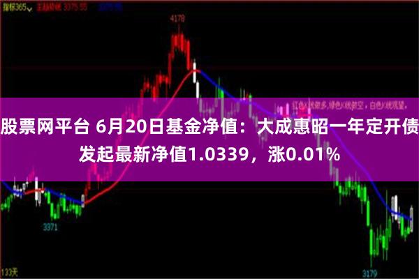 股票网平台 6月20日基金净值：大成惠昭一年定开债发起最新净值1.0339，涨0.01%