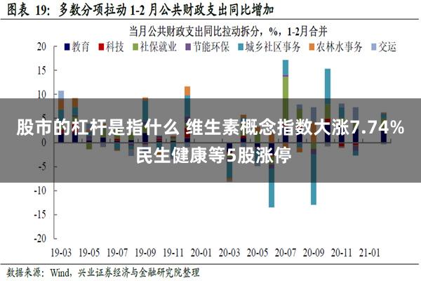 股市的杠杆是指什么 维生素概念指数大涨7.74% 民生健康等5股涨停