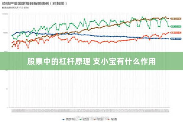 股票中的杠杆原理 支小宝有什么作用