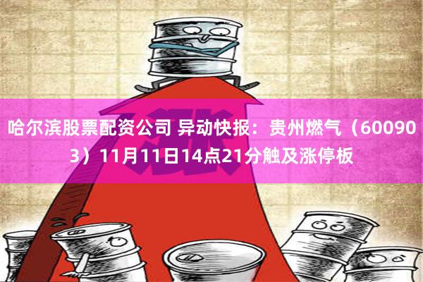 哈尔滨股票配资公司 异动快报：贵州燃气（600903）11月11日14点21分触及涨停板