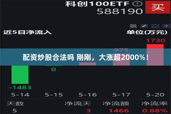 配资炒股合法吗 刚刚，大涨超2000%！