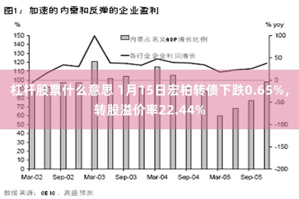 杠杆股票什么意思 1月15日宏柏转债下跌0.65%，转股溢价率22.44%