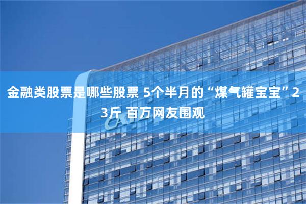 金融类股票是哪些股票 5个半月的“煤气罐宝宝”23斤 百万网友围观